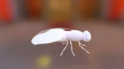 MOSQUITA