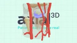 P0019 Full anatomy