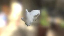 Rat - Kinect