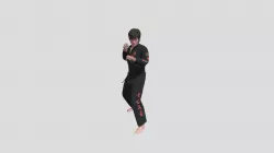 Roundhouse Kick