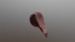 shape experiment