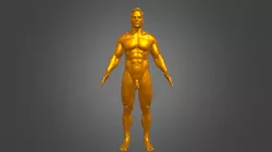 Super Average Male