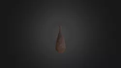 Test 2k Texture High Texture Bat
