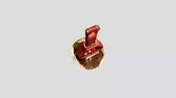 Toro Key