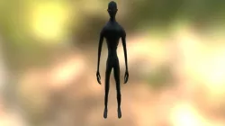 yamichi model
