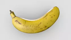 Banana / Plátano Photogrammetry Retopology 5k