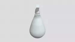 Bottle (Rough)