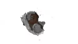 Brown-3