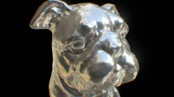 bulldog