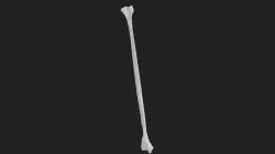 calf bone (fibula) cat
