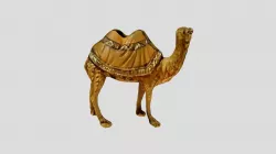 camel