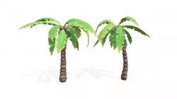 Cartoon Palm Tree
