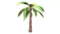 Cartoon Palm Tree