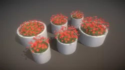 Concrete Pipe Pots With Red Flowers