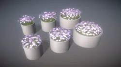 Concrete Pipe Pots With Violet Flowers