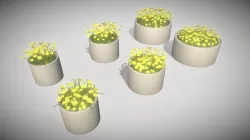 Concrete Pipe Pots With Yellow Flowers