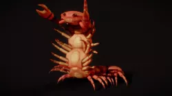 Crab centipede
