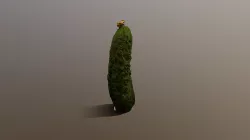 Cucumber