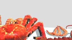 draft-seafood