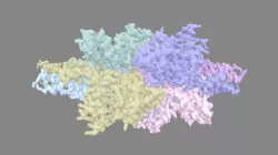 EMDB › EMD-8194