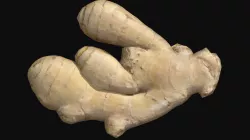 Ginger (LowPoly)