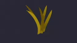 grass