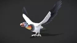 Griffon