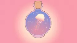 Jellyfish in a Bottle