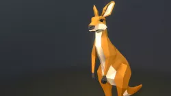 kangaroo