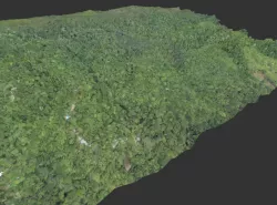 Lapa Rios, Osa Peninsula, Costa Rica
