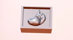 Left Heart Mold
