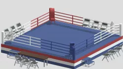 Low Poly Cartoon Boxing Ring
