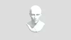Male Head