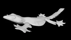 Model 82 - Flying Gecko Flying Pose 2