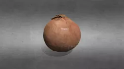 Onion With Skin
