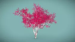 Red-leaved tree