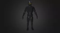 Rider