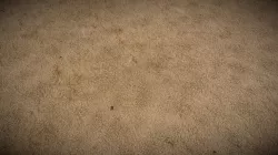 Sand