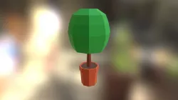 Shrub