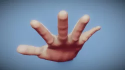 Styalised Hand Model
