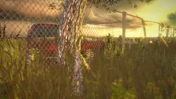 The Golden Field