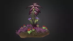 Tropical Cactus in Bloom