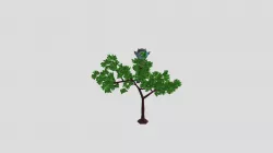 Walking towards tree