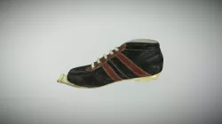 3D scan ski boot