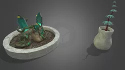 Alien Plants in planters