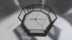 An MMA fight cage