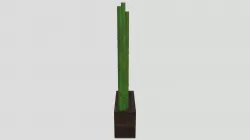 bamboo