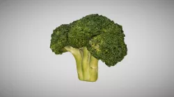 Broccoli Floret 3D Scan Photogrammetry