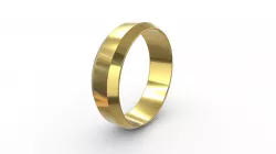 Chamfered Edge Ring