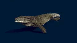Dakosaurus